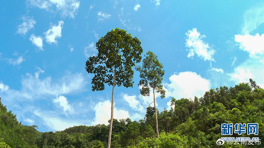 “云南发布”微博