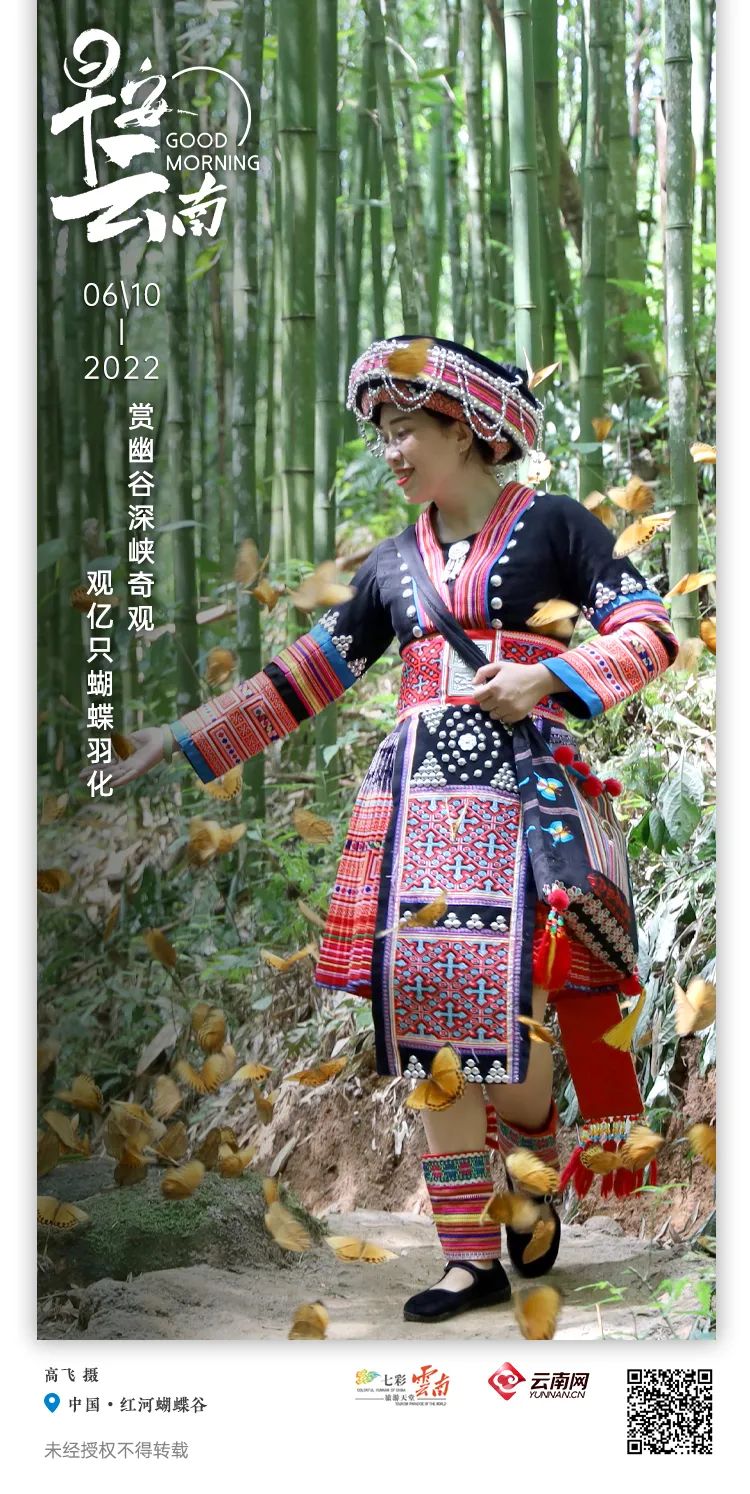 云南省人民政府网