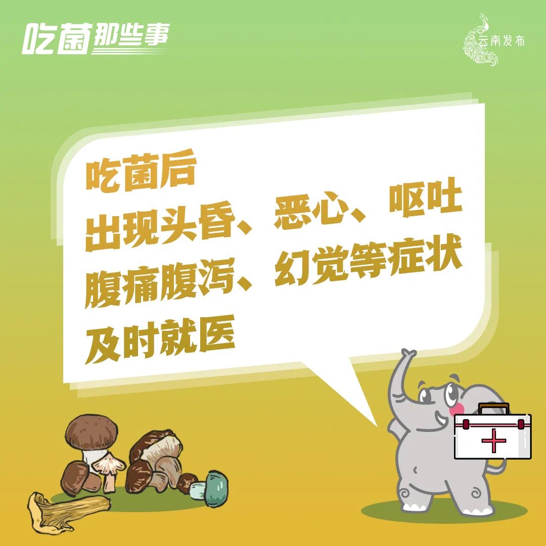 云南法制报