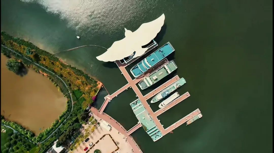 昆明信息港/cnkmxxg