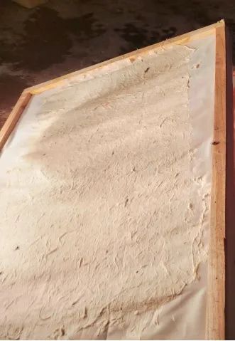 美丽云南微科普