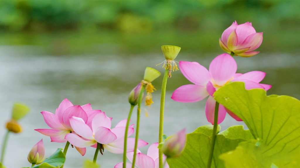 昆明信息港/cnkmxxg