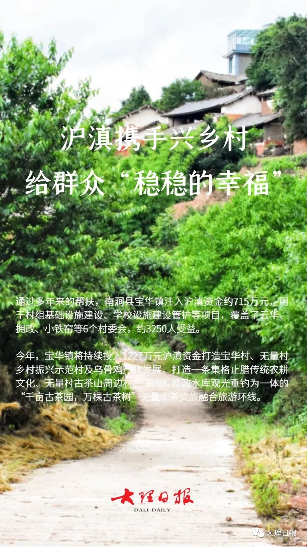 大理日报