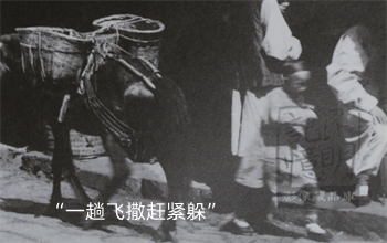 昆明市博物馆