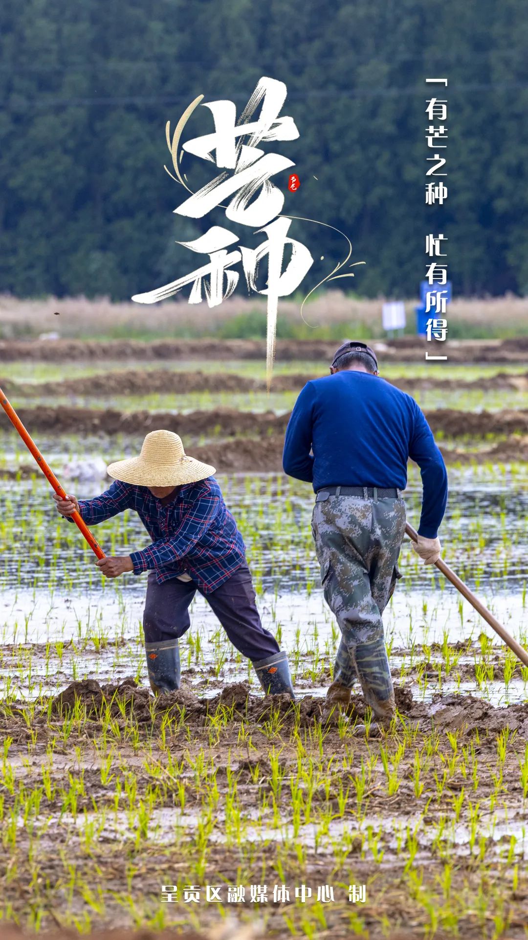 呈贡发布