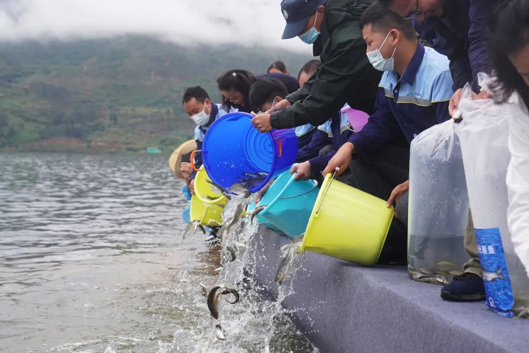 昆明阳宗海风景名胜区(微信)