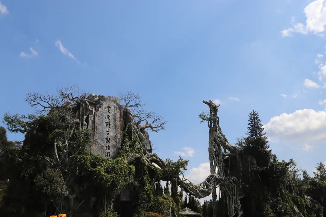 云南野生动物园