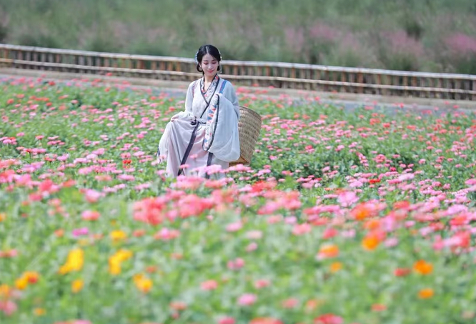 昆明滇池国家旅游度假区管理委员会(微信)