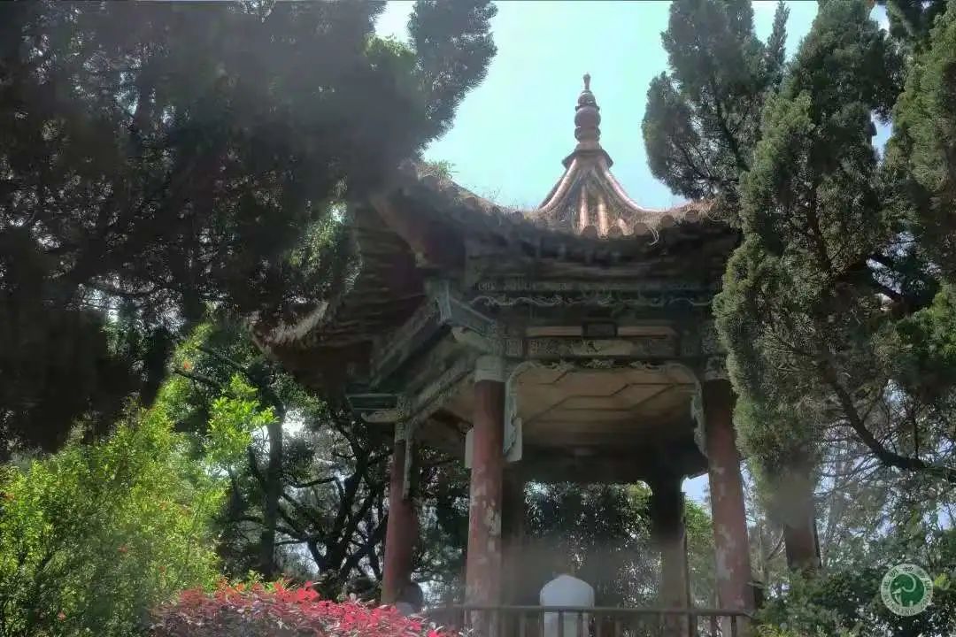 昆明动物园