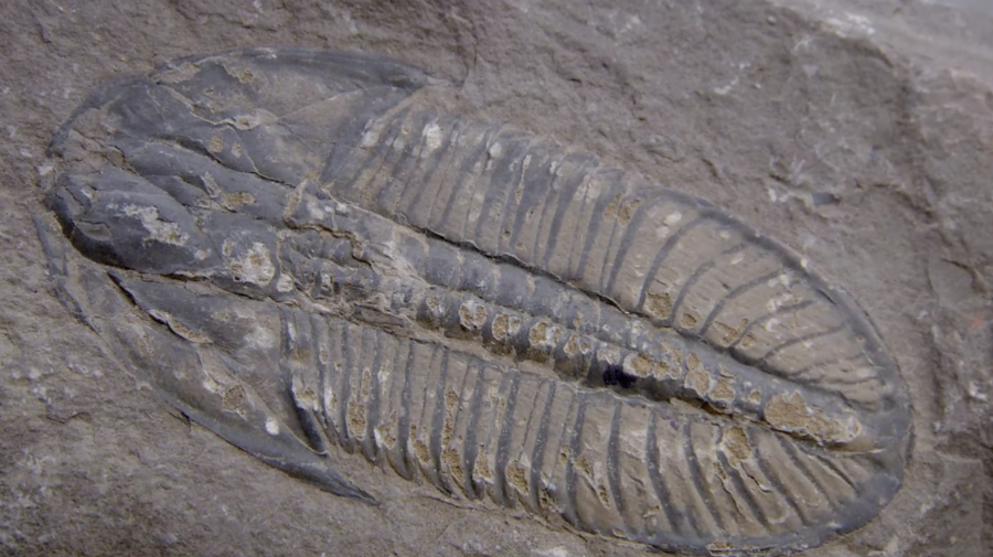 云南省文化和旅游厅