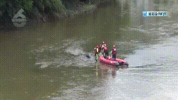 昆明信息港/cnkmxxg