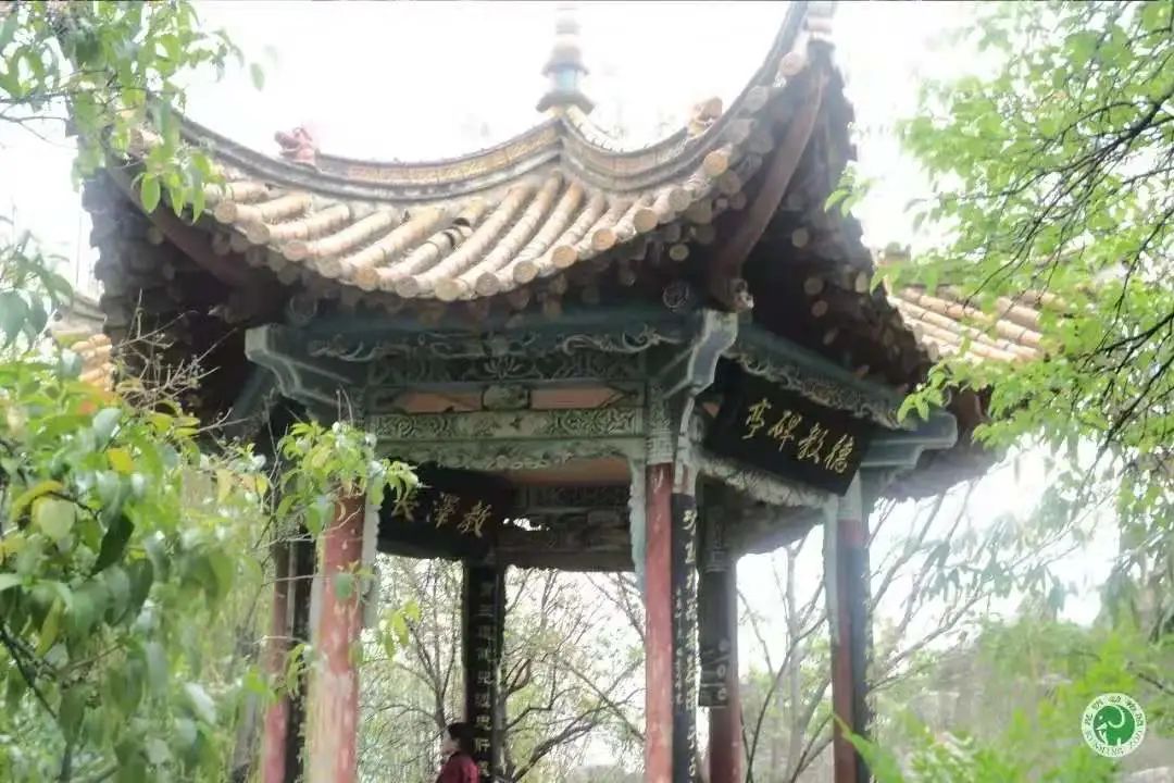 昆明动物园