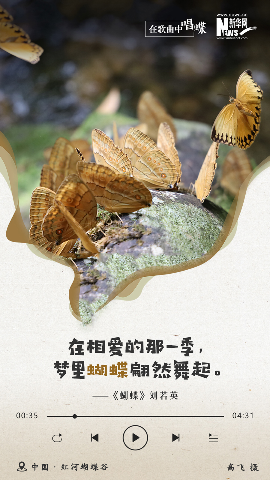 新华网云南频道