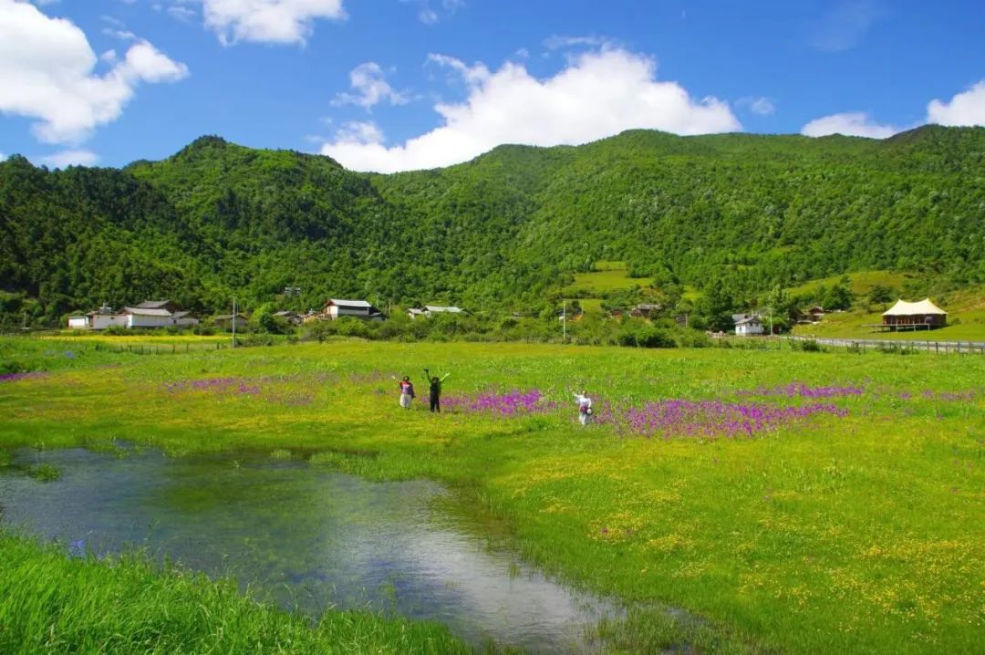 丽江日报