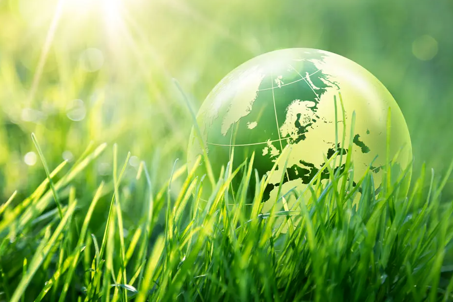 西双版纳望天树景区