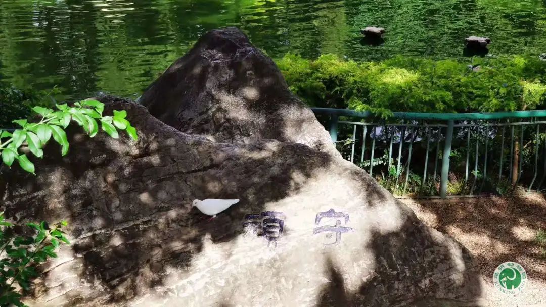 昆明动物园