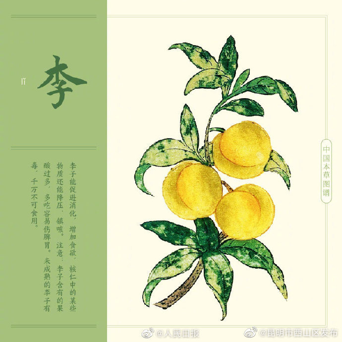 昆明市西山区发布