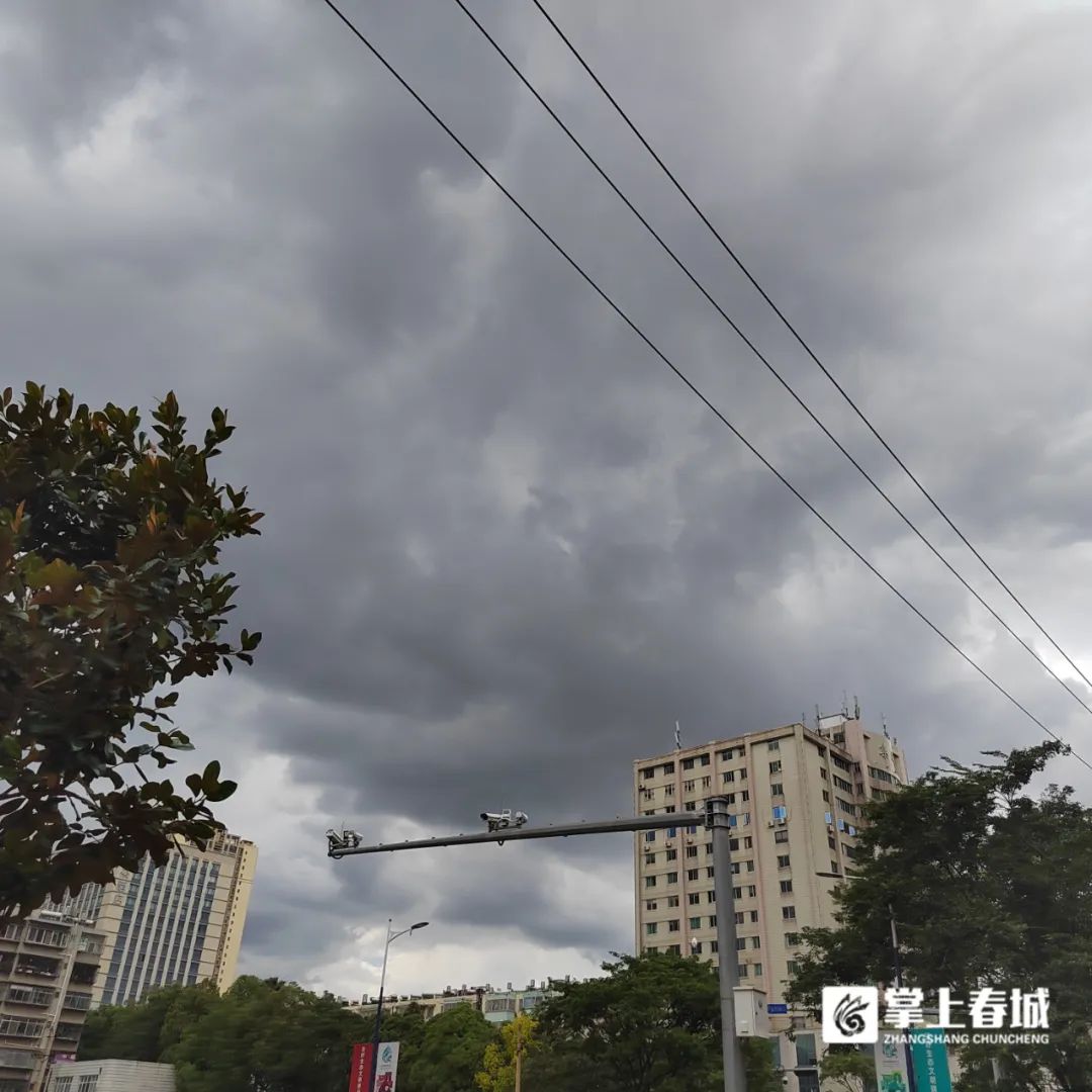 掌上春城