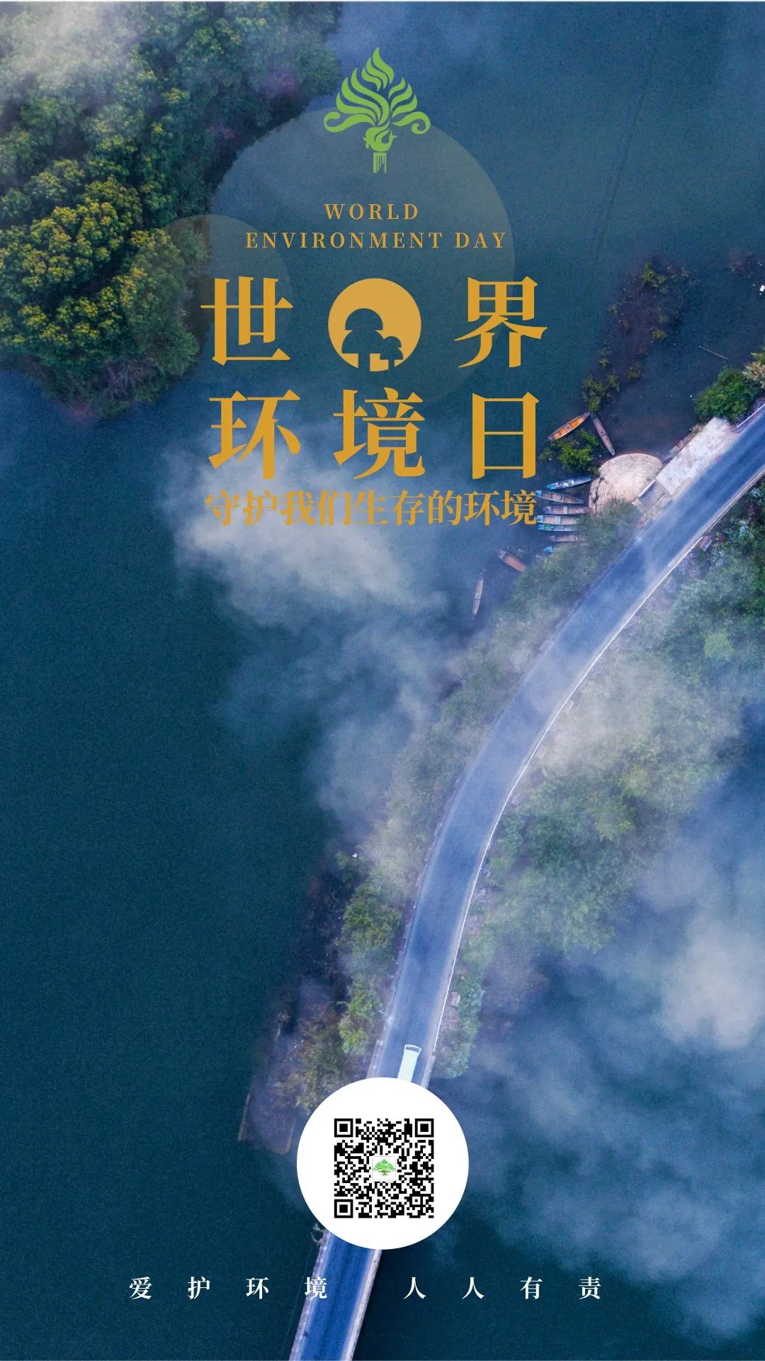 西双版纳望天树景区