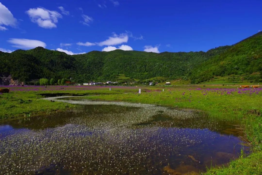 丽江日报