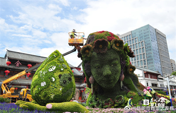 昆明市西山区发布