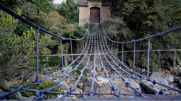 云南省文化和旅游厅