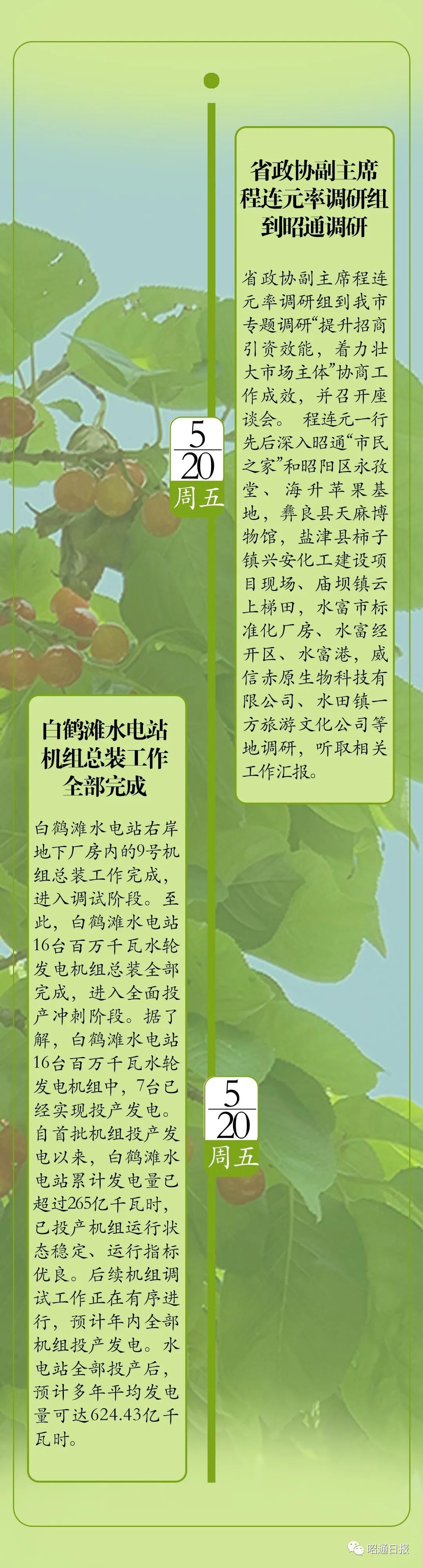 昭通日报