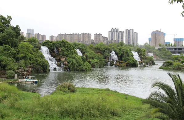 微观盘龙