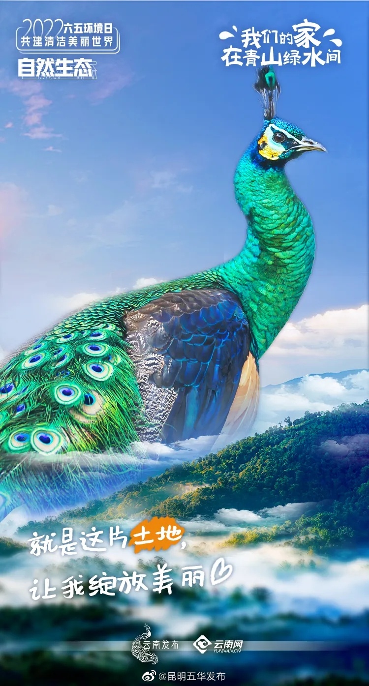 “昆明五华发布”微博