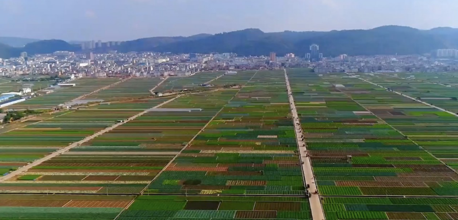 美丽云南 | 秀甲南滇 礼乐名邦——美名:玉溪·通海县 - 资讯频道