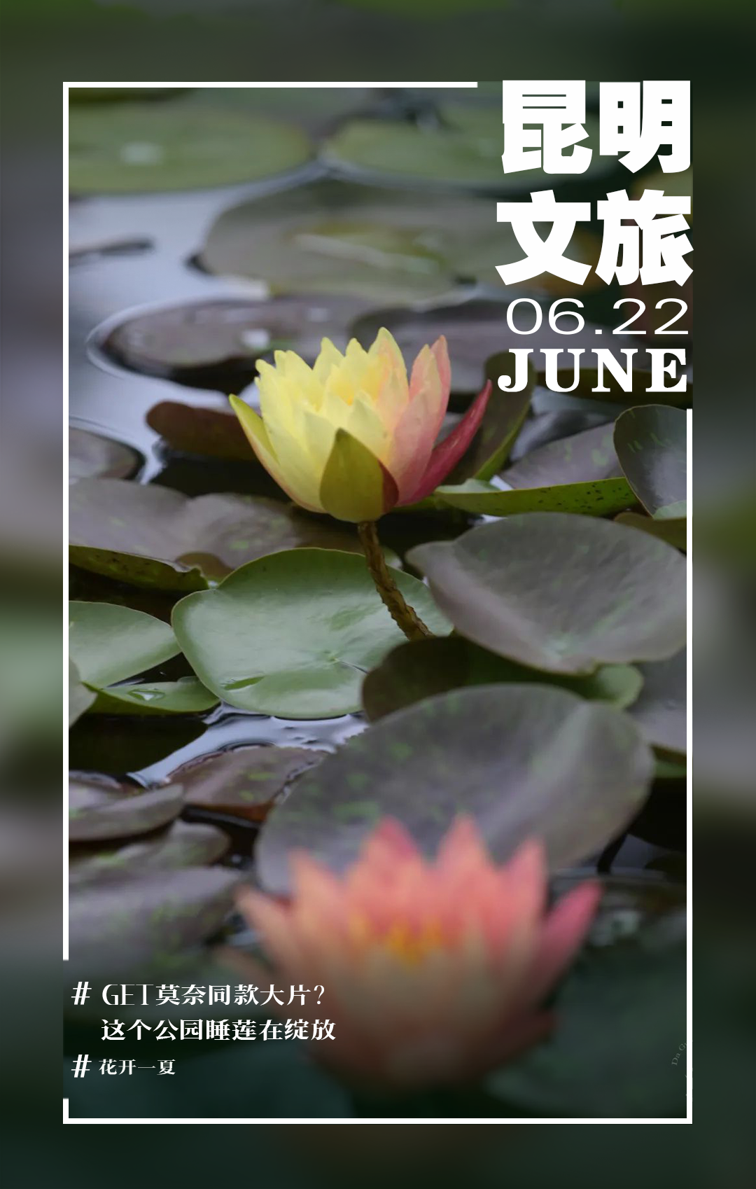 昆明文旅