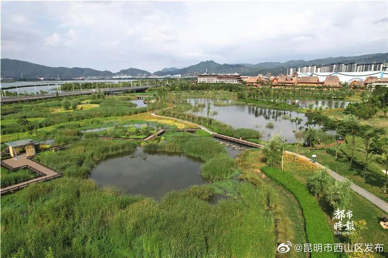 昆明市西山区发布