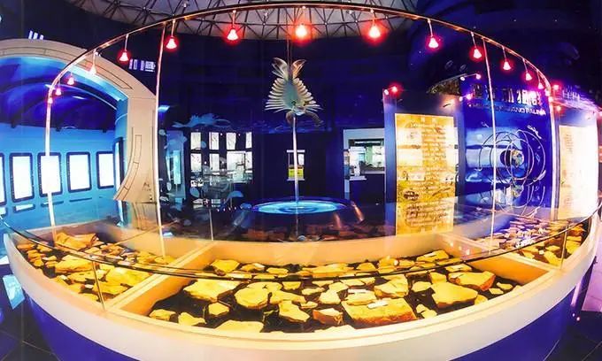 云南省文化和旅游厅