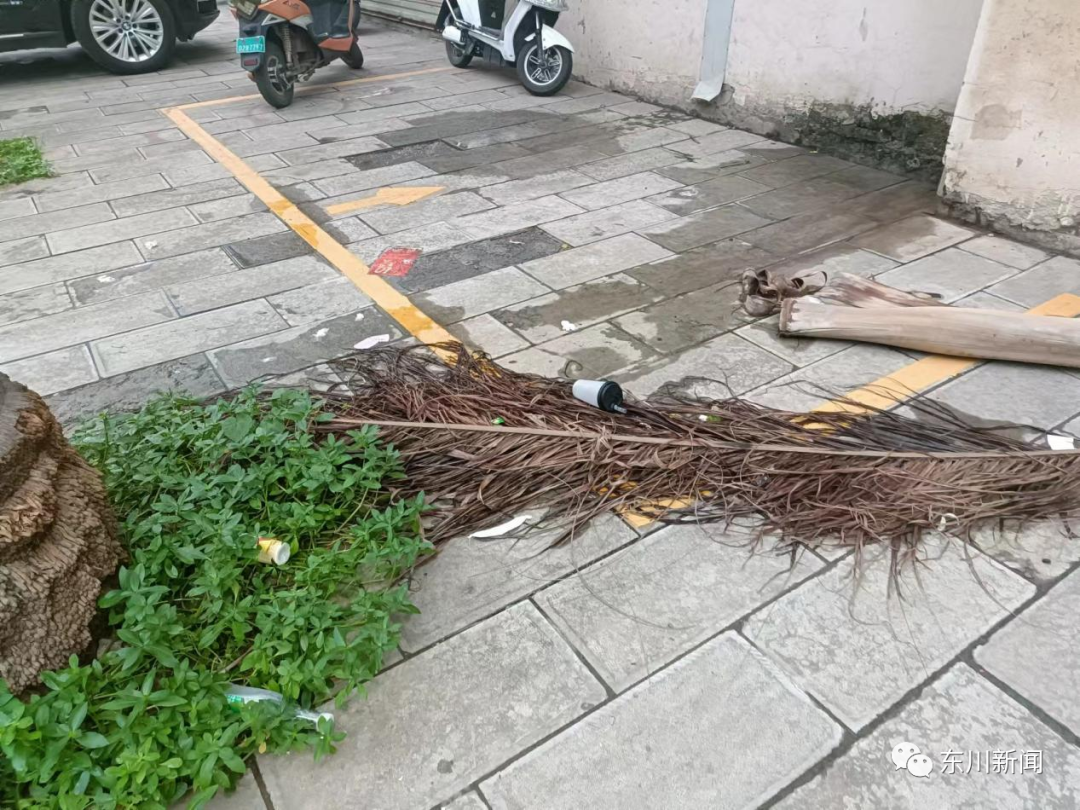 东川新闻