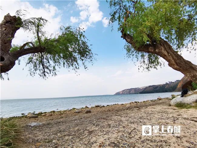 昆明滇池国家旅游度假区管理委员会(微信)