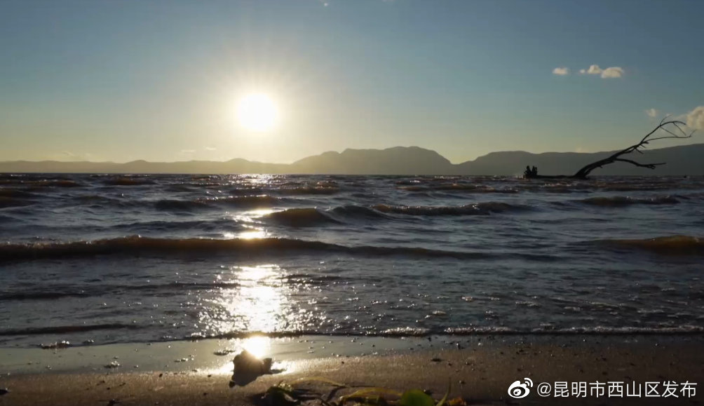 昆明市西山区发布