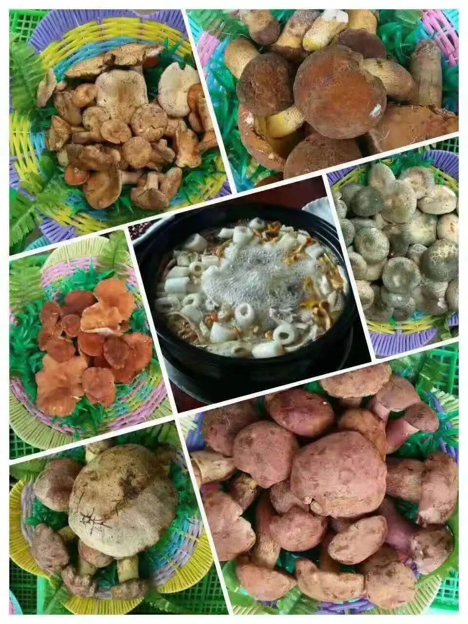 云南省文化和旅游厅