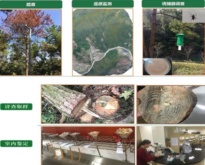 东川发布(微信)