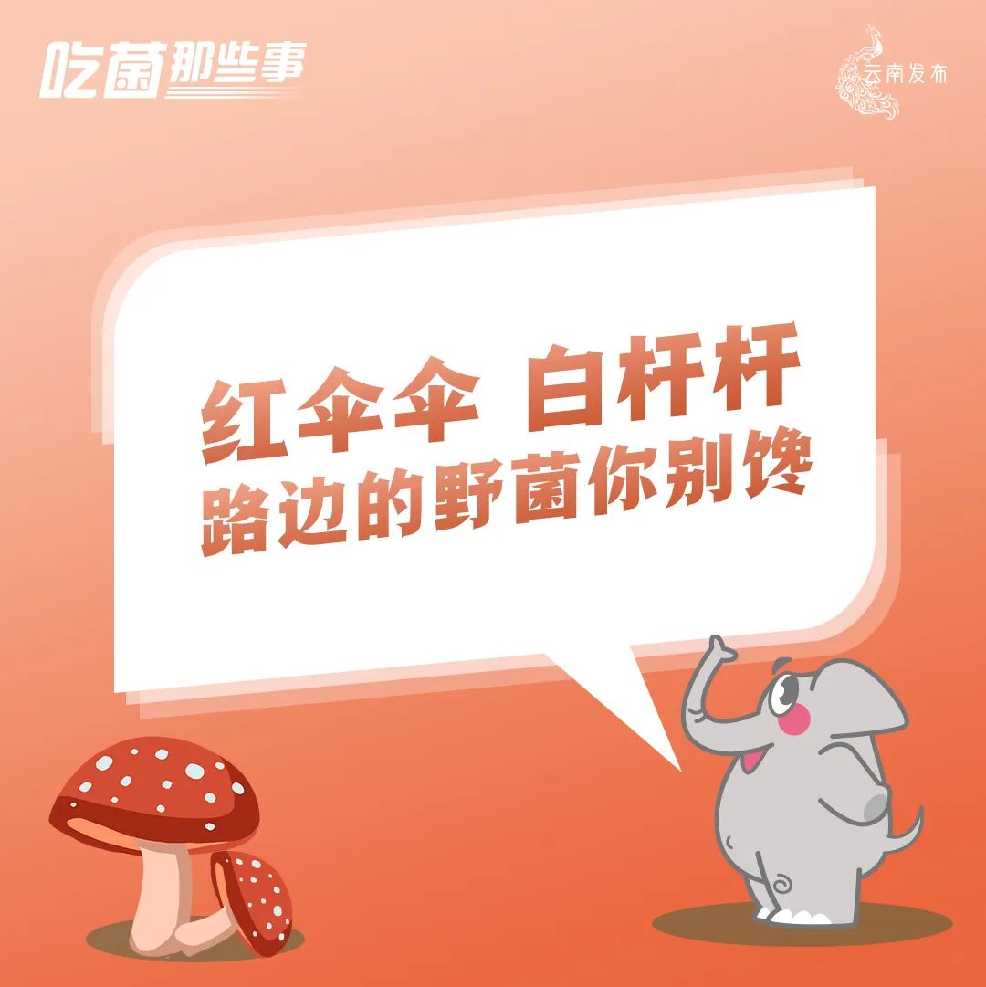 云南法制报