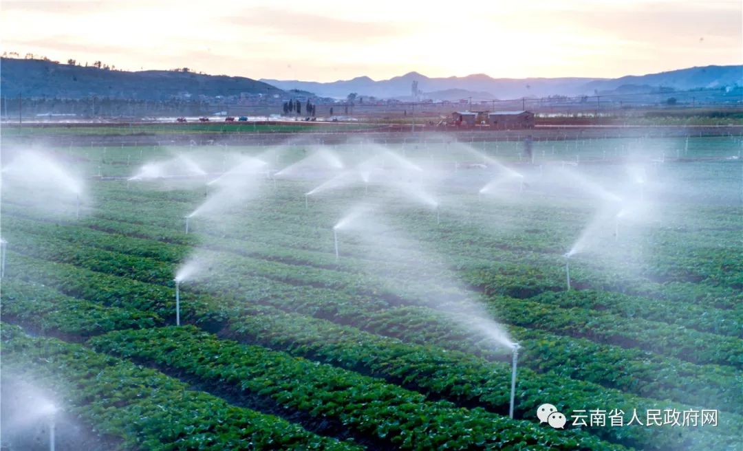 云南省人民政府网