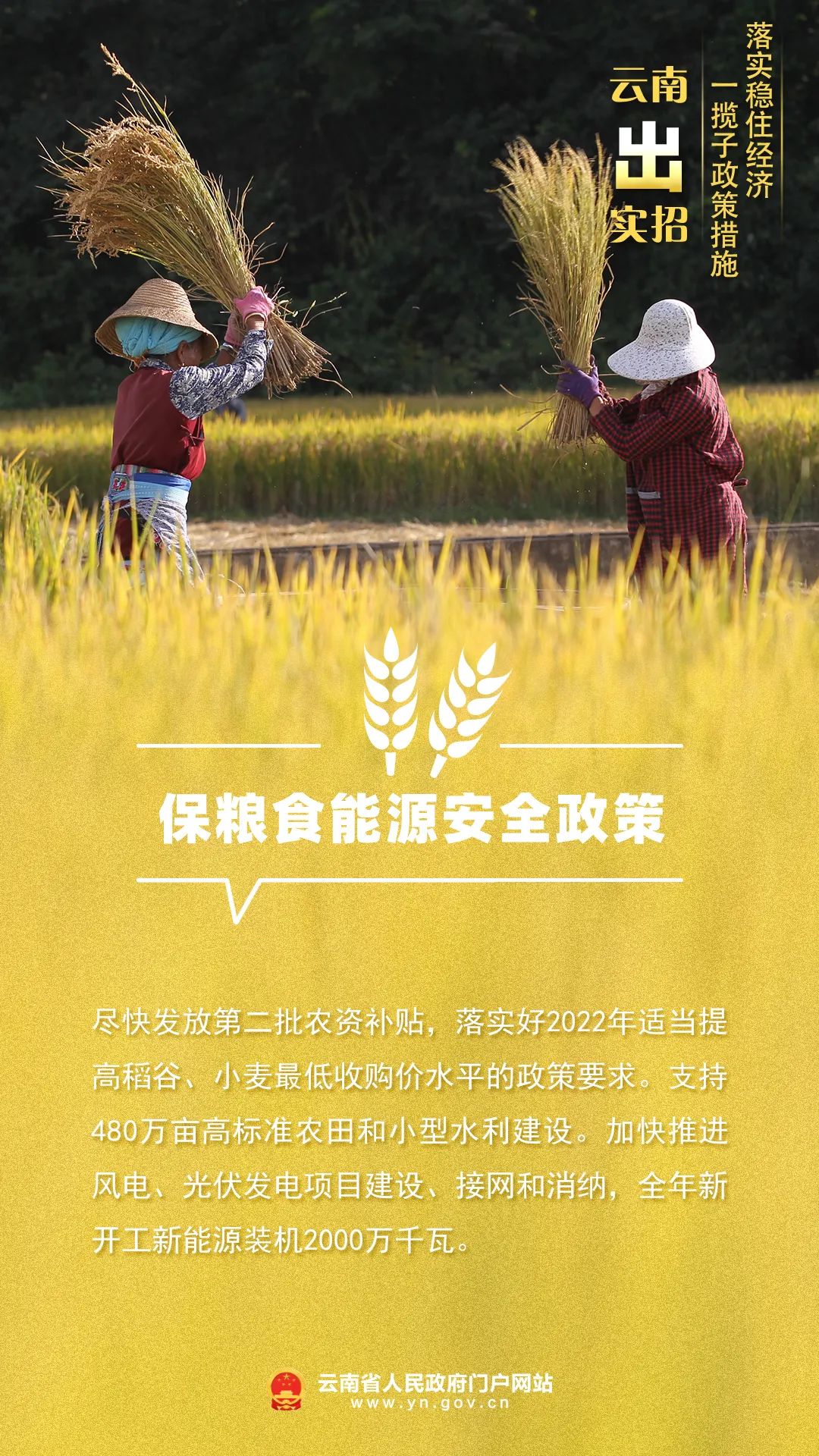 云南省人民政府网