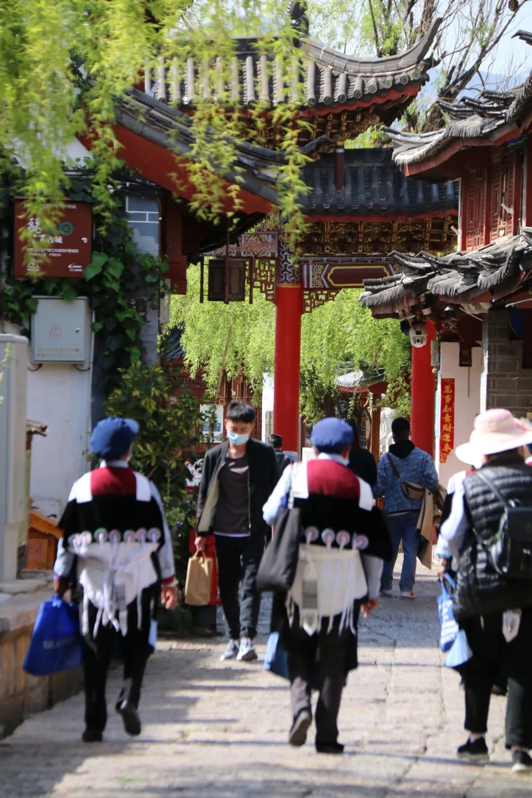 云南省文化和旅游厅