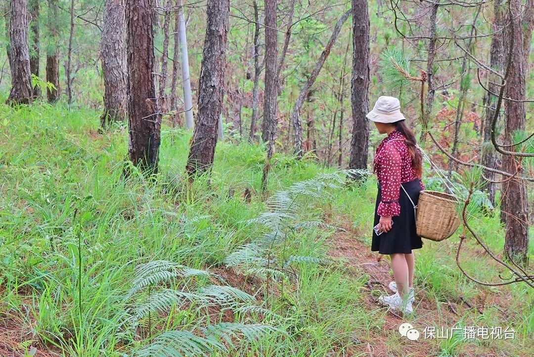 保山广播电视台