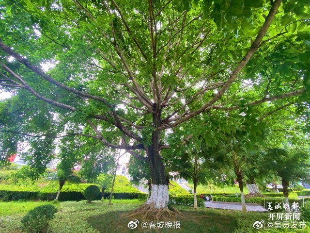 呈贡发布