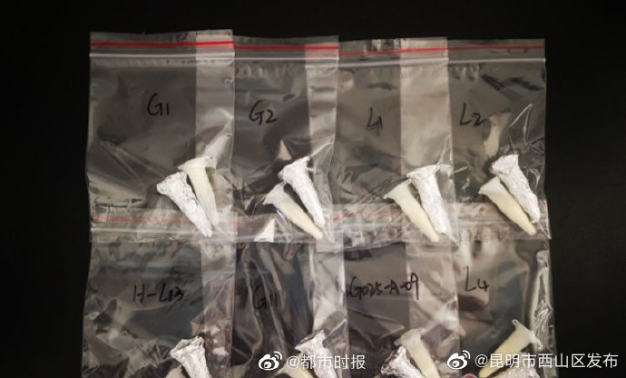 昆明市西山区发布