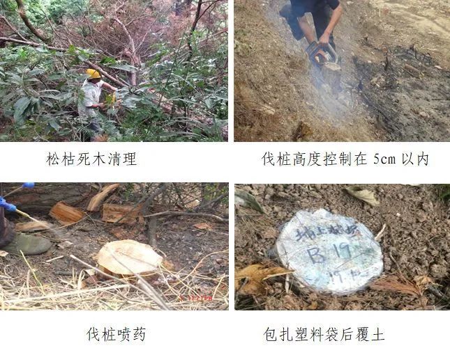 东川发布(微信)
