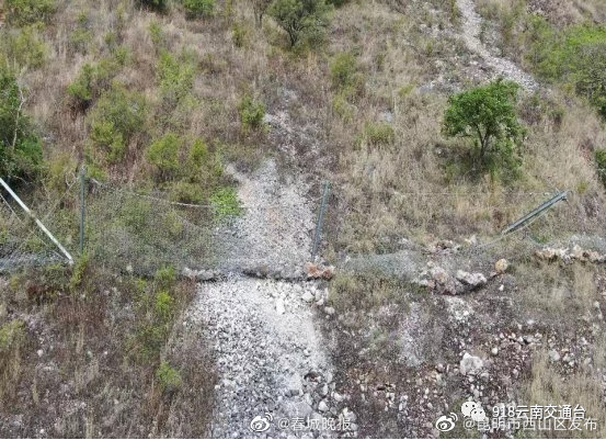 昆明市西山区发布