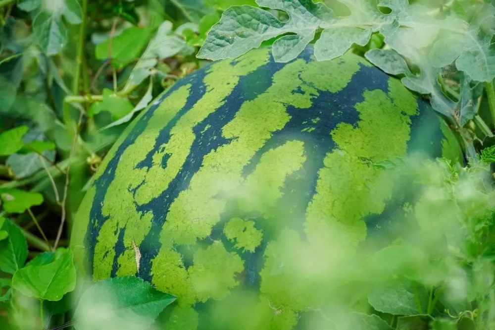 昆明国家高新区发布