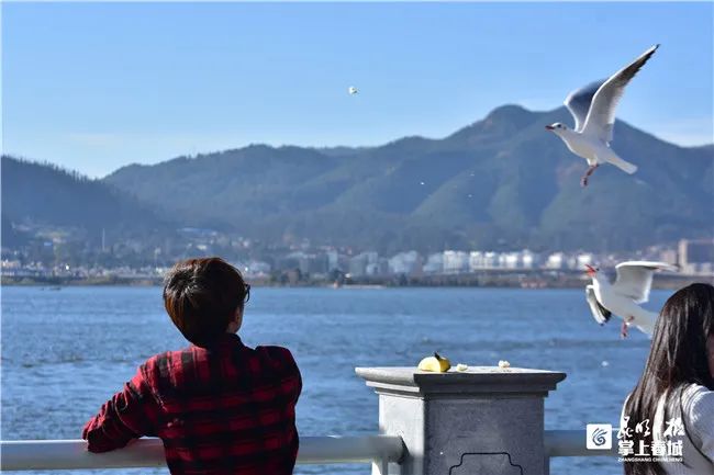 昆明滇池国家旅游度假区管理委员会(微信)