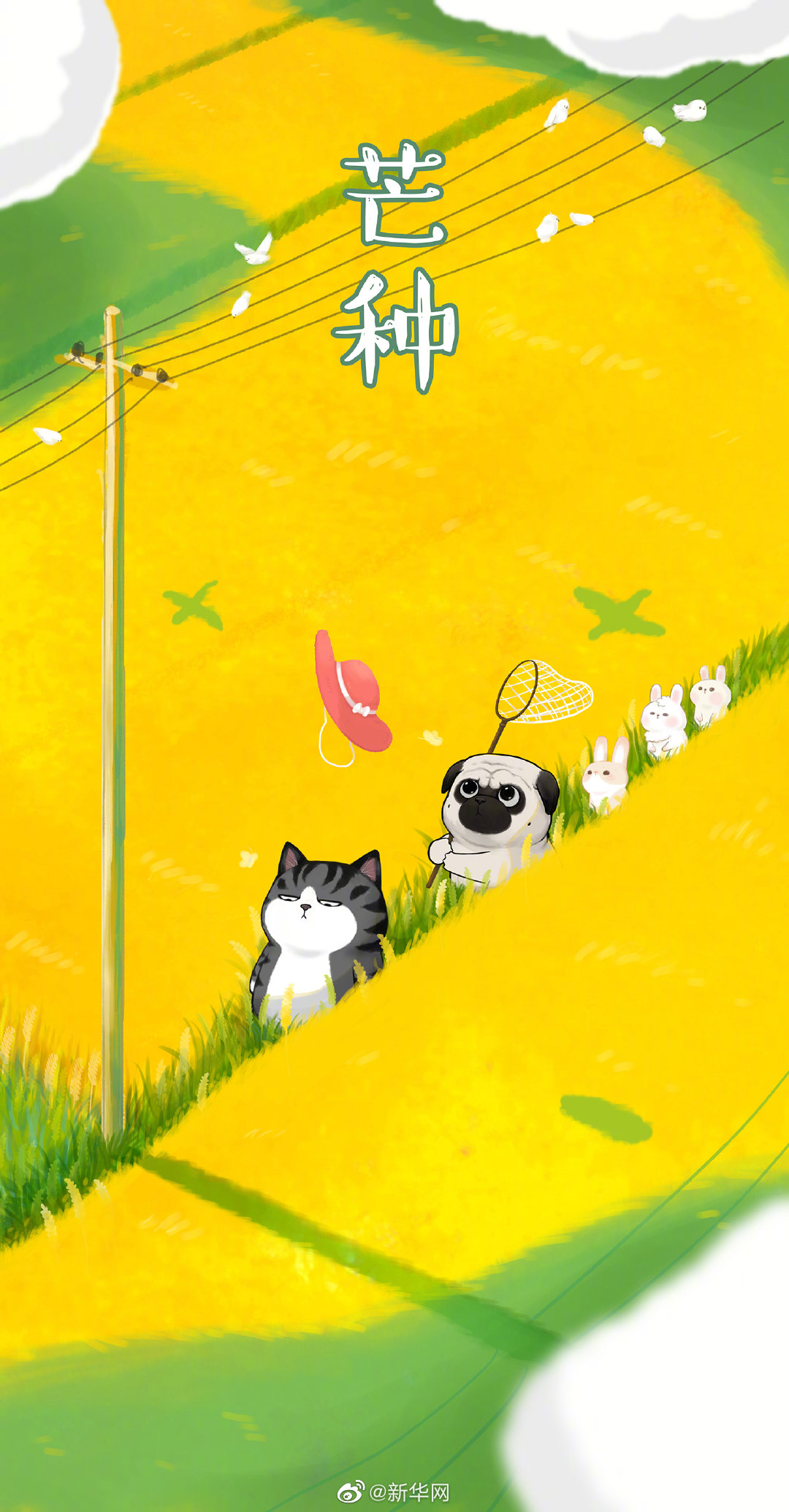 今日芒种！愿你有种有收不负时光！